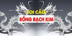 Rồng Bạch Kim Vin88 - Soi Cầu Chuẩn, Tỷ Lệ Thắng Cao